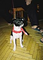 Resize of 000039.JPG